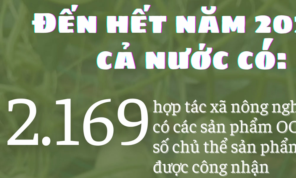  Hơn 2.100 hợp tác xã nông nghiệp có sản phẩm OCOP